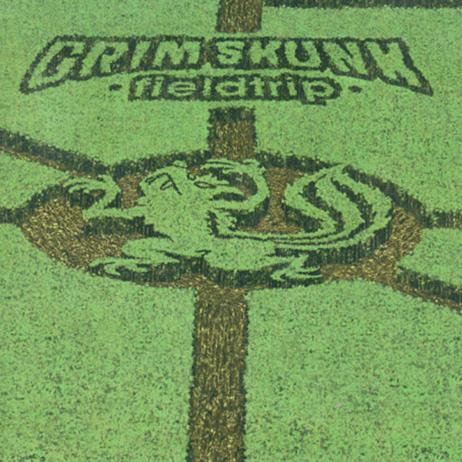 GrimSkunk - Fieldtrip