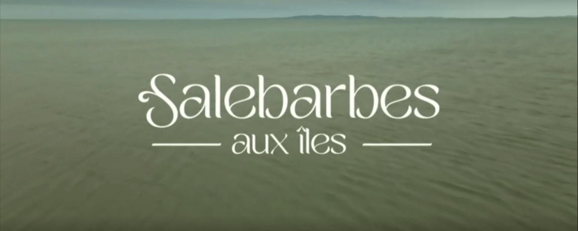ICI T&eacute;l&eacute; pr&eacute;sente&nbsp;Salebarbes aux &Icirc;les